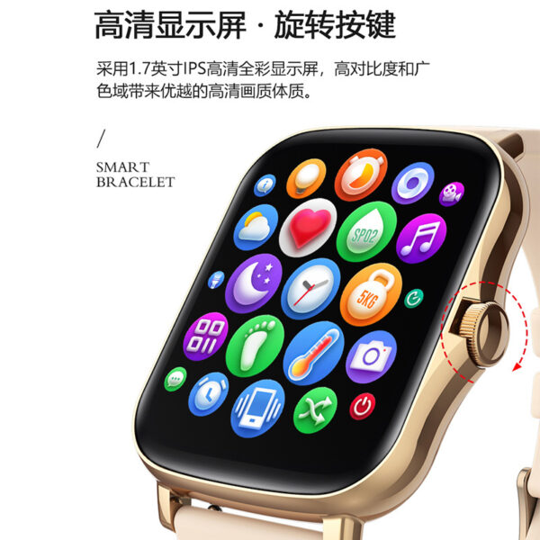 Smart Bracelet 1.69 Large Screen Waterproof Exercise Blood Pressure Heart Rate Smart Reminder Watch - Image 3